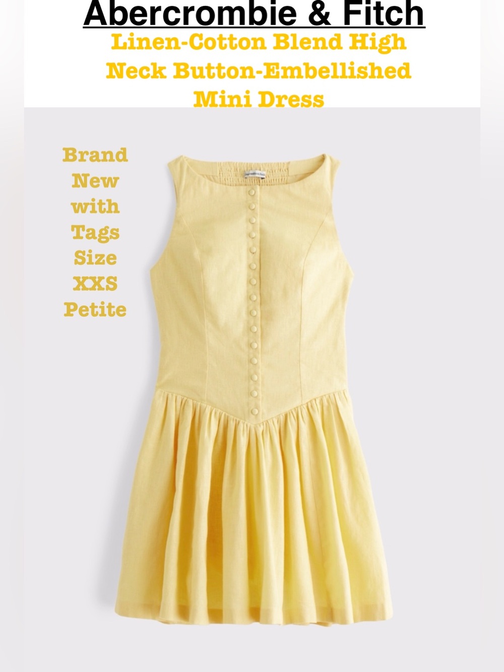 Abercrombie & Fitch Mini Dress